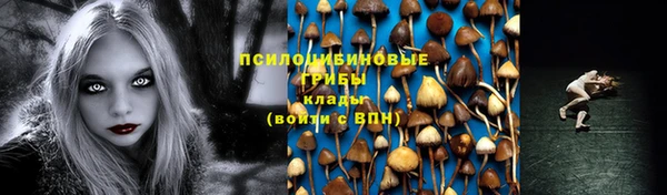 герыч Семилуки