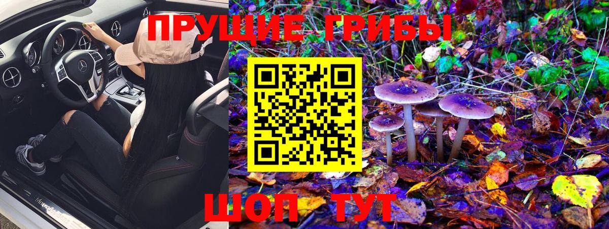 Батайск  Псилоцибиновые грибы GOLDEN TEACHER  Вход с VPN 