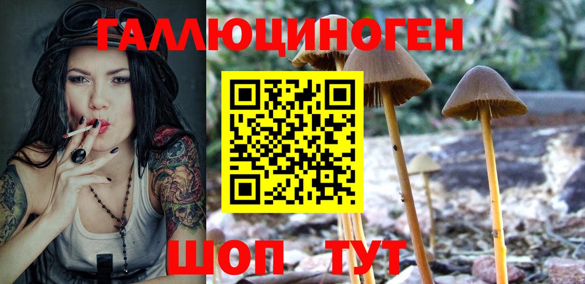 Псилоцибиновые грибы мухоморы Батайск