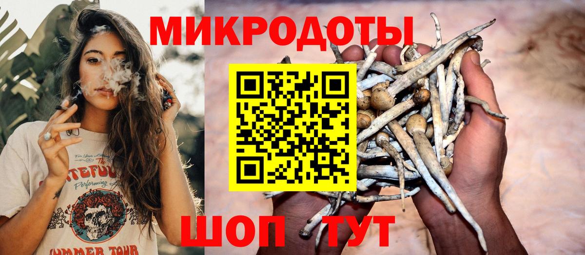 Псилоцибиновые грибы Psilocybine cubensis Батайск